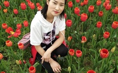 唐人社美国十次啦导航